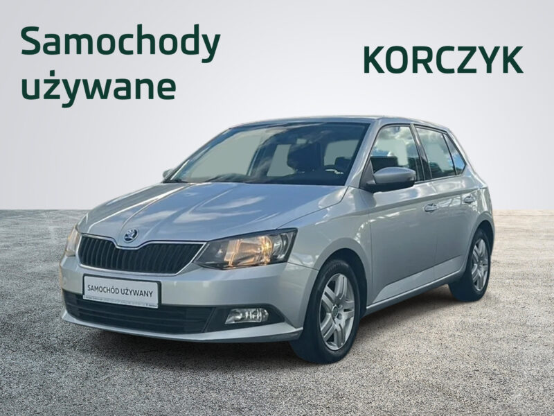 Skoda Fabia III / Ambition