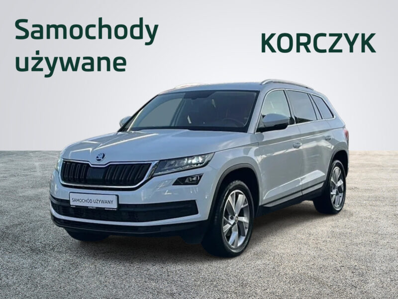 Skoda Kodiaq I / Ambition