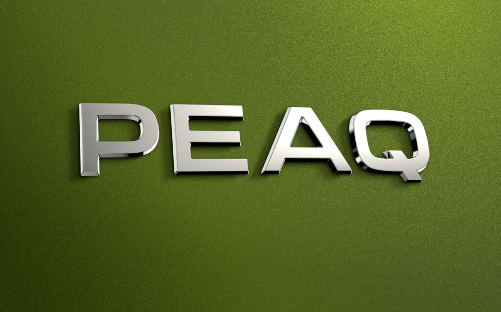 Elektryczna, 7-osobowa Škoda Peaq