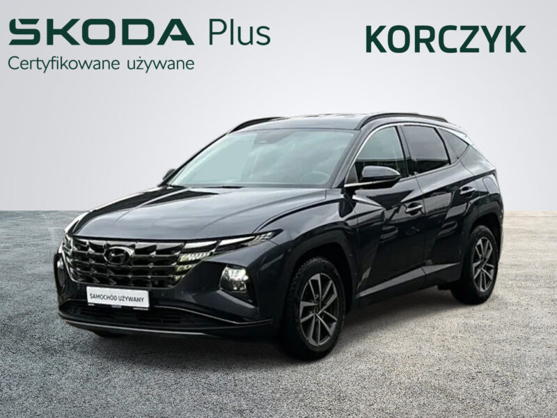 Hyundai Tucson / Execuitive